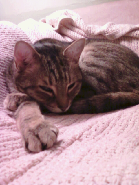 Leo