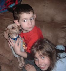 My youngest son & daughter with a little dog we rescued