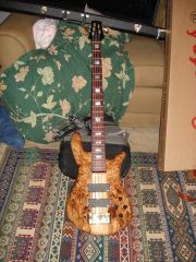 Spector euro 