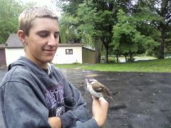 Kyle saving a bird
