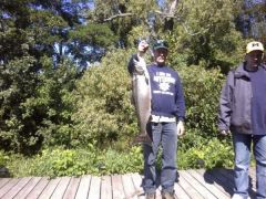 Another good day